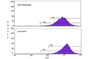 Flow Cytometry (FACS) image for anti-Ataxia Telangiectasia Mutated (ATM) (AA 1974-1988), (pSer1981) antibody (ABIN6657494)