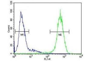 ICAM2 antibody flow cytometric analysis of HepG2 cells (right histogram) compared to a negative control (left histogram). (ICAM2 antibody  (AA 191-218))