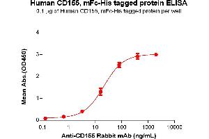 ELISA plate pre-coated by 1 μg/mL (100 μL/well) Human CD155 Protein, mFc-His Tag(ABIN6961100, ABIN7042229 and ABIN7042230) can bind Anti-CD155 Rabbit mAb in a linear range of 3. (Poliovirus Receptor Protein (PVR) (AA 21-343) (mFc-His Tag))