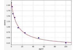 Endothelin 3 ELISA Kit