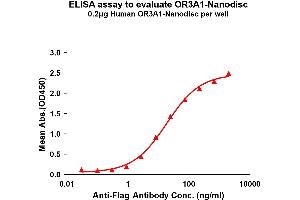 ELISA image for Olfactory Receptor, Family 3, Subfamily A, Member 1 (OR3A1) protein (ABIN7538443)