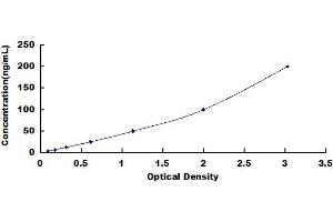 TNC ELISA Kit