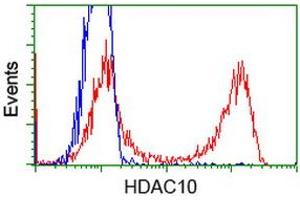 HEK293T cells transfected with either RC218536 overexpress plasmid (Red) or empty vector control plasmid (Blue) were immunostained by anti-HDAC10 antibody (ABIN2453115), and then analyzed by flow cytometry. (HDAC10 antibody)