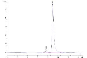 Size-exclusion chromatography-High Pressure Liquid Chromatography (SEC-HPLC) image for CD40 Ligand (CD40LG) (Trimer) protein (His-DYKDDDDK Tag,Biotin) (ABIN7274319)