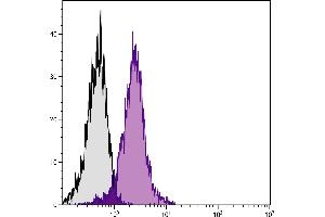 BALB/c mouse thymocytes were stained with Hamster Anti-Mouse CD28-FITC. (CD28 antibody  (FITC))