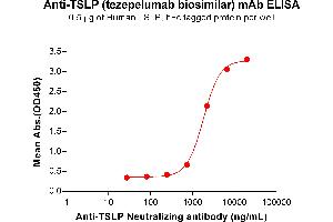 ELISA plate pre-coated by 5 μg/mL (100 μL/well) Human TSLP Protein, hFc Tag (ABIN7092793, ABIN7272398 and ABIN7272399) can bind Anti-TSLP Neutralizing antibody (ABIN7478008 and ABIN7490983) in a linear range of 741-6667 ng/mL. (Recombinant TSLP (Tezepelumab Biosimilar) antibody)