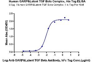 Immobilized Human GARP&Latent TGF Beta Complex at 5 μg/mL (100 μL/Well) on the plate. (GARP & Latent TGF beta 1 Complex (AA 20-628) protein (His-Avi Tag))