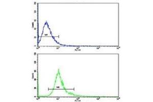 Flow cytometric analysis of NCI-H292 cells using DCXR antibody (bottom histogram) compared to a negative control (top histogram). (DCXR antibody  (AA 79-106))