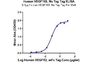 ELISA image for VEGF 165 protein (ABIN7275824)