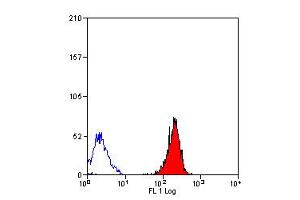 Staining of human peripheral blood lymphocytes with Rat anti Human HLA ABC (ABIN119778). (HLA-ABC antibody)