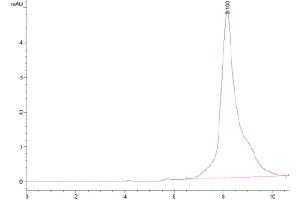 The purity of Monkeypox virus A29 is greater than 95 % as determined by SEC-HPLC. (MPXV A29L (AA 1-110) protein (His tag))