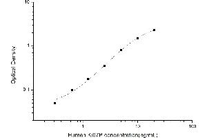 Typical standard curve (Ki-67 ELISA Kit)