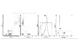 Image no. 1 for anti-CD5 (CD5) antibody (FITC) (ABIN1106440) (CD5 antibody  (FITC))