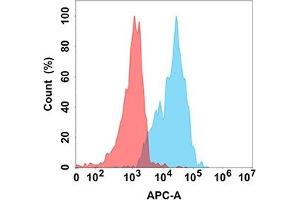 Flow cytometry analysis with Anti-CD70 (DM191) on Expi293 cells transfected with human CD70 (Blue histogram) or Expi293 transfected with irrelevant protein (Red histogram). (CD70 antibody)