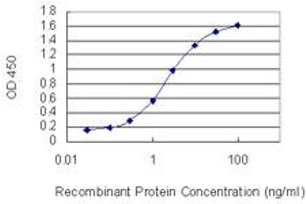 GPRC5D antibody  (AA 261-345)