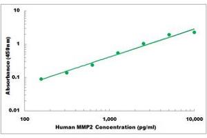 Representative Standard Curve (MMP2 ELISA Kit)