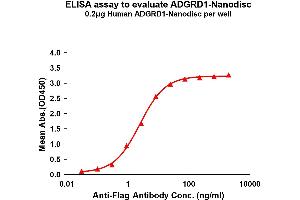 Elisa plates were pre-coated with Flag Tag AD-Nanodisc (0. (G Protein-Coupled Receptor 133 Protein (GPR133))