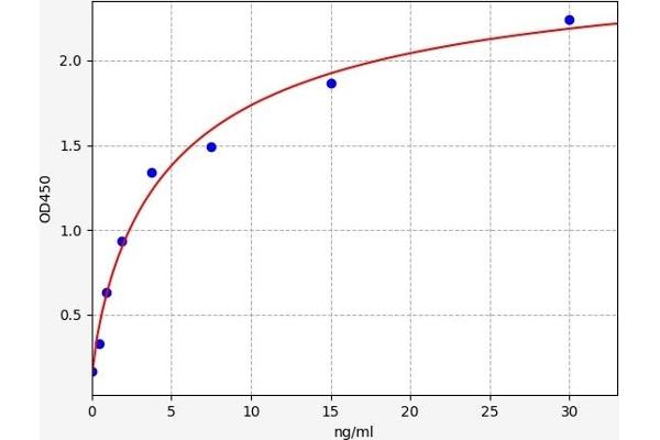 LECT2 ELISA Kit