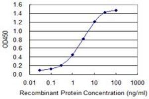 Detection limit for recombinant GST tagged FGG is 0. (FGG antibody  (AA 31-130))
