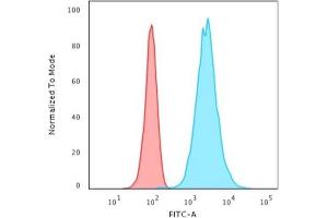 Flow Cytometric Analysis of HeLa cells using CK18 Rabbit Recombinant Monoclonal Antibody (KRT18/2808R) followed by Goat anti-rabbit IgG-CF488 (Blue); Isotype Control (Red). (Recombinant Cytokeratin 18 antibody)