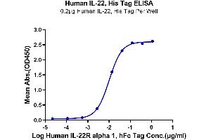 ELISA image for Interleukin 22 (IL22) (AA 34-179) protein (His tag) (ABIN7274919)