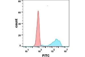 Flow cytometry analysis with Anti-B7-1  (DM109) on Expi293 cells transfected with human B7-1 (Blue histogram) or Expi293 transfected with irrelevant protein (Red histogram). (CD80 antibody  (AA 35-242))