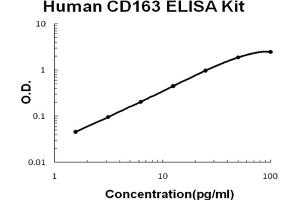 Human CD163 Accusignal ELISA Kit Human CD163 AccuSignal ELISA Kit standard curve. (CD163 ELISA Kit)