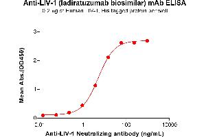 ELISA plate pre-coated by 2 μg/mL (100 μL/well) Human LIV-1 Protein, His Tag ABIN7455490, ABIN7490968 and ABIN7490970 can bind Anti-LIV-1 Neutralizing antibody (ABIN7478009 and ABIN7490985) in a linear range of 0. (Recombinant LIV-1 (Ladiratuzumab Biosimilar) antibody)