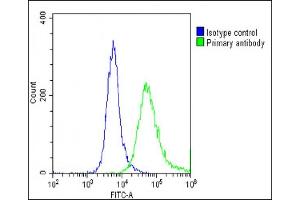 Overlay histogram showing U-87 MG cells stained with (ABIN6242848 and ABIN6578683)(green line). (GNG3 antibody  (AA 39-69))