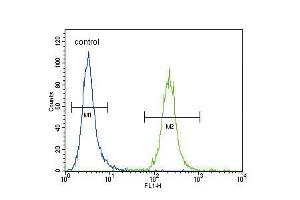 Flow cytometric analysis of Hela cells (right histogram) compared to a negative control cell (left histogram). (IREB2 antibody  (AA 201-230))