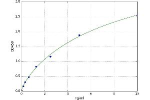 A typical standard curve (Calreticulin ELISA Kit)