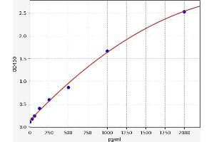 Typical standard curve (ECE1 ELISA Kit)