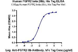 ELISA image for FGFR2 beta (AA 152-378) protein (His tag) (ABIN7274646)