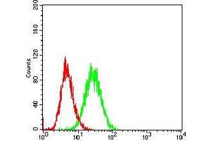 Fig. (CD36 antibody  (AA 30-130))