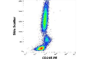 Flow cytometry surface staining pattern of human peripheral whole blood stained using anti-human CD245 (DY12) PE antibody (10 μL reagent / 100 μL of peripheral whole blood). (CD245 antibody (PE))
