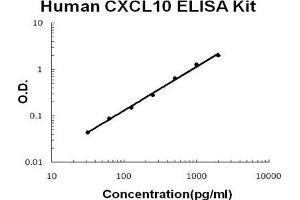 Human CXCL10/IP-10 PicoKine ELISA Kit standard curve (CXCL10 ELISA Kit)