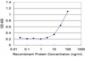 Detection limit for recombinant GST tagged CREB1 is approximately 3ng/ml as a capture antibody. (CREB1 antibody  (AA 14-101))