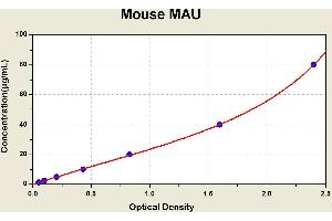 Diagramm of the ELISA kit to detect Mouse MAUwith the optical density on the x-axis and the concentration on the y-axis. (Microalbuminuria ELISA Kit)