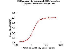 LGR6 Protein