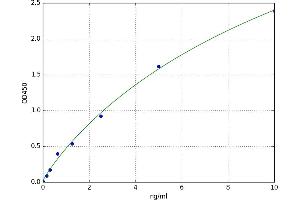 A typical standard curve (CNN1 ELISA Kit)