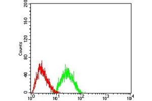 CLEC7A antibody  (AA 66-247)