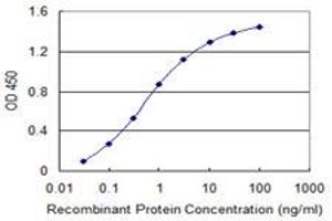 Detection limit for recombinant GST tagged HSPB8 is 0. (HSPB8 antibody  (AA 1-196))