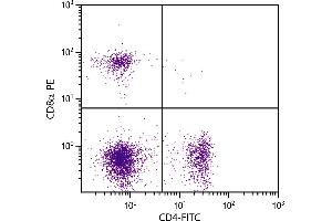 BALB/c mouse splenocytes were stained with Rat Anti-Mouse CD4-FITC and Rat Anti-Mouse CD8α-PE. (CD4 antibody  (FITC))