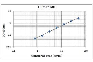 ELISA image for Macrophage Migration Inhibitory Factor (Glycosylation-Inhibiting Factor) (MIF) ELISA Kit (ABIN5026922) (MIF ELISA Kit)