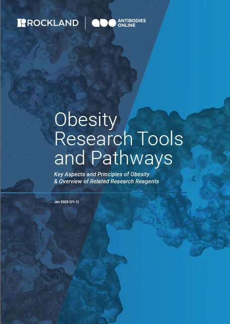 antibodies-online - Obesity Handbook